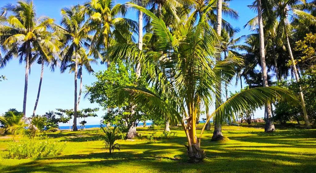 Somewhere Else Boutique Resort Mambajao Eksteriør billede